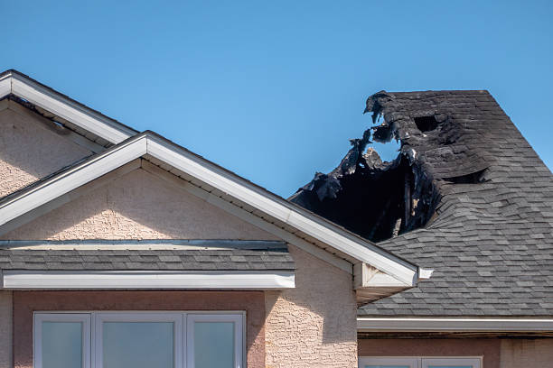 Top rated local Odor Removal specialists in Camden, NJ